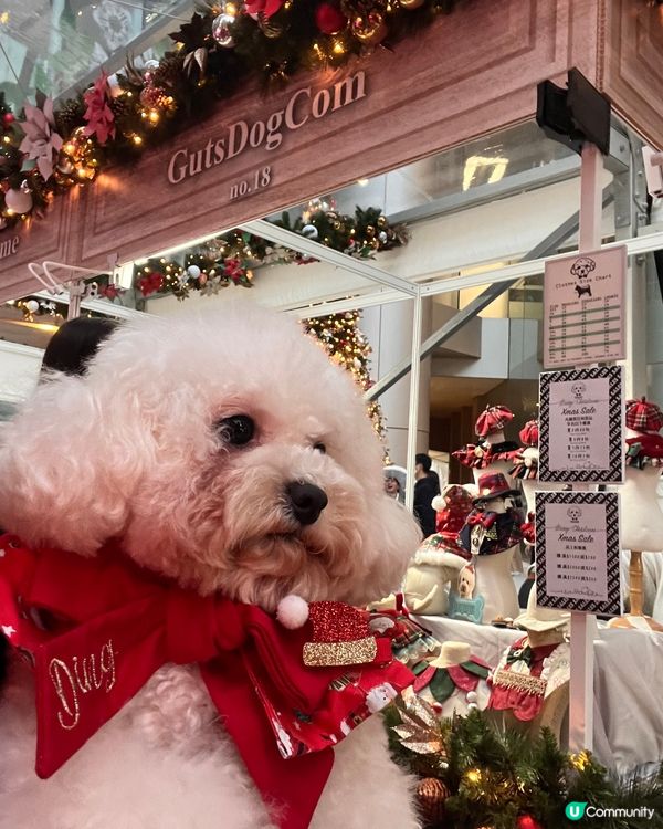 🐶：今日放假阿媽話同我去睇聖誕樹，食唔食得架？咦，乜原來係影...