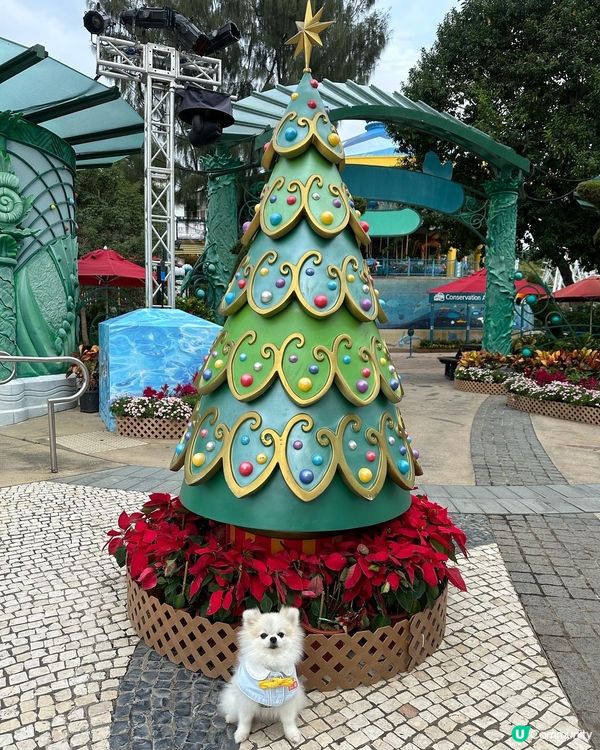 媽咪知道可以狗狗去海洋公園，諗都唔洗諗就帶左我去玩了！🐶 