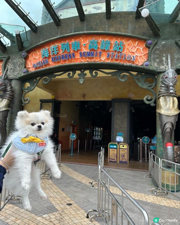 媽咪知道可以狗狗去海洋公園，諗都唔洗諗就帶左我去玩了！🐶 
