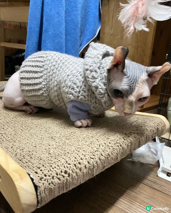 有媽媽温暖牌著🫶🏻