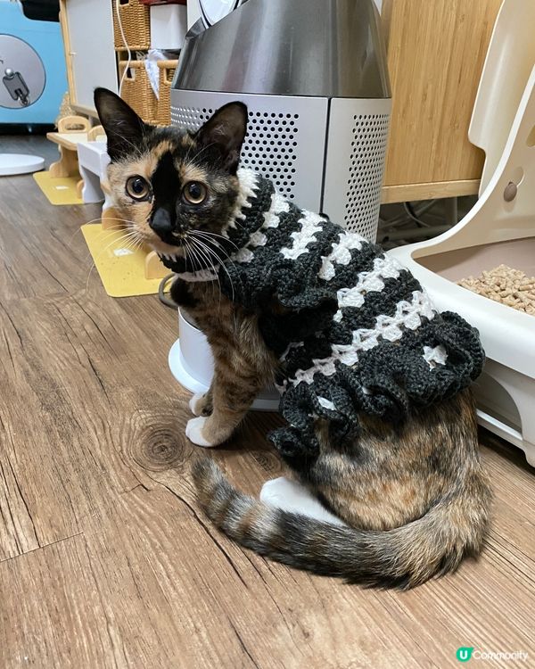 有媽媽温暖牌著🫶🏻