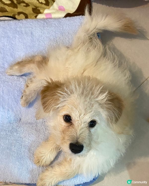 我就要起身返工你就可以繼續訓🥹