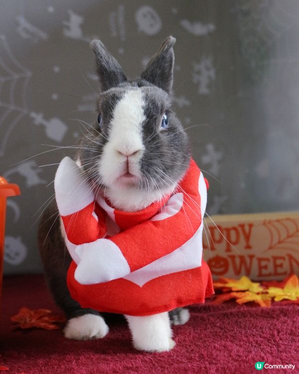 看招！睇我使出超勁既“十字死光”！