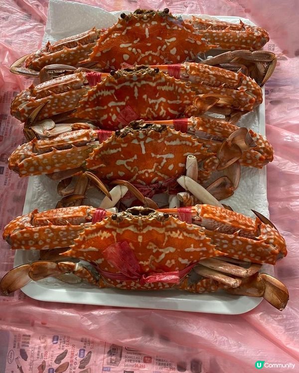 今次有毛蟹、膏蟹、海鮮粥，一於來個海鮮刷餐勁！屋企食海鮮就唔...