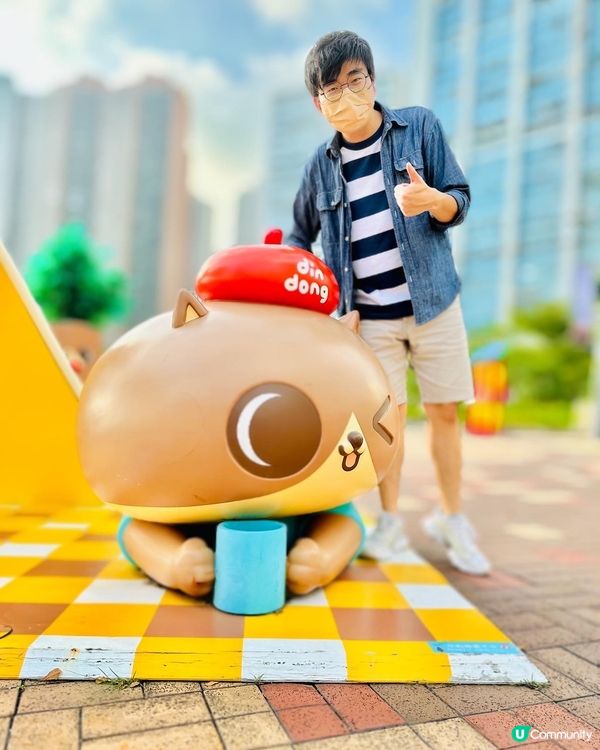 😻海邊親人嘅貓貓🧡