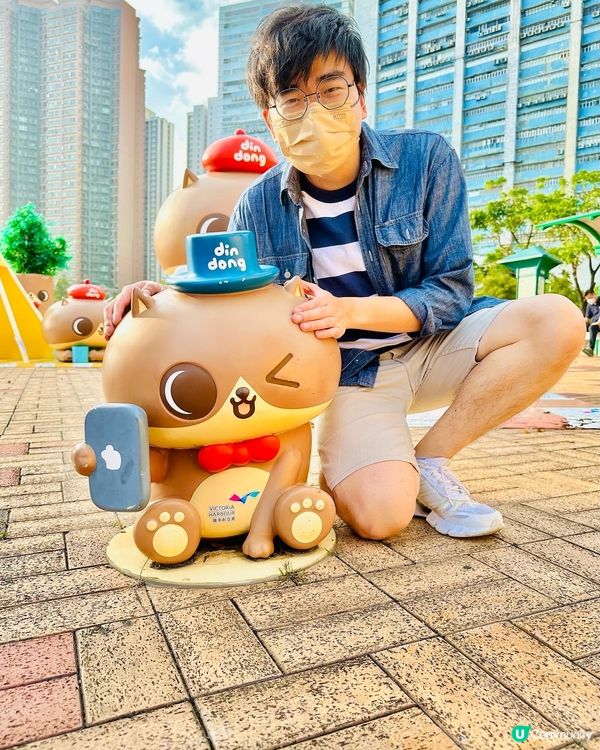 😻海邊親人嘅貓貓🧡