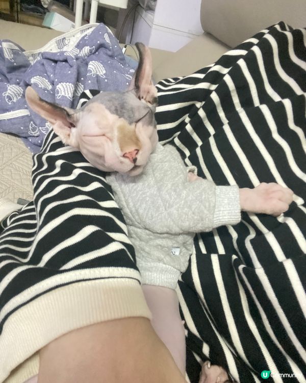 呢啲天氣唔瞓有咩做喎！！