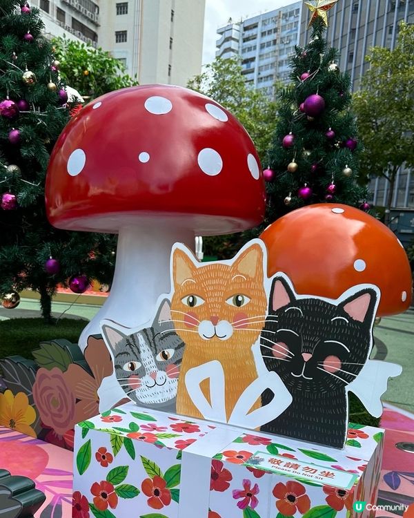 西班牙聖誕森林🐰❤️