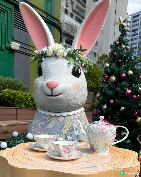 西班牙聖誕森林🐰❤️