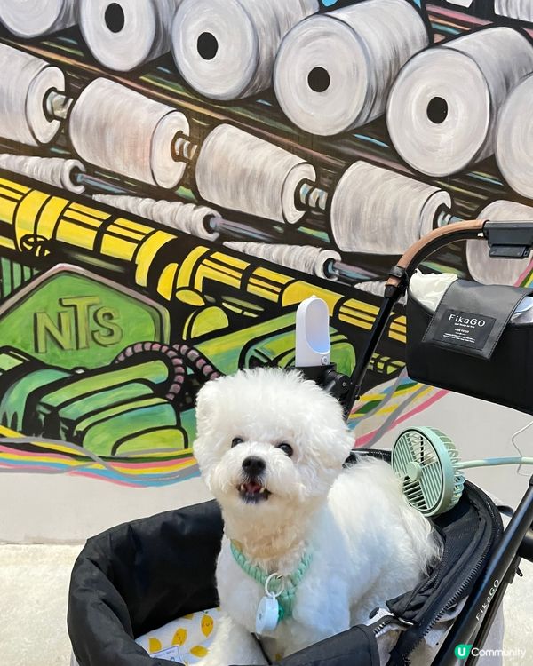 📍荃灣南豐紗廠真係一家大細都岩去嘅地方，每次去親都見有好多毛...