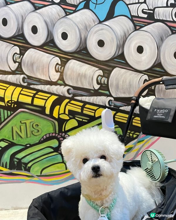 📍荃灣南豐紗廠真係一家大細都岩去嘅地方，每次去親都見有好多毛...