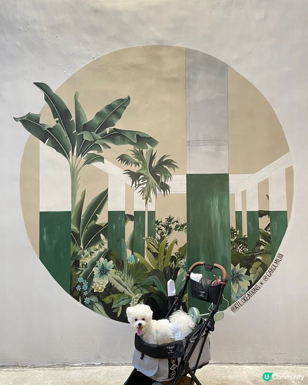 📍荃灣南豐紗廠真係一家大細都岩去嘅地方，每次去親都見有好多毛...