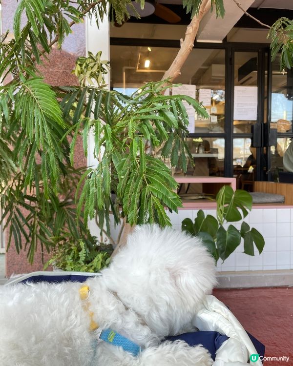 📍九龍城Lazy Creatures📍中意飲啡嘅朋友仔唔好錯...