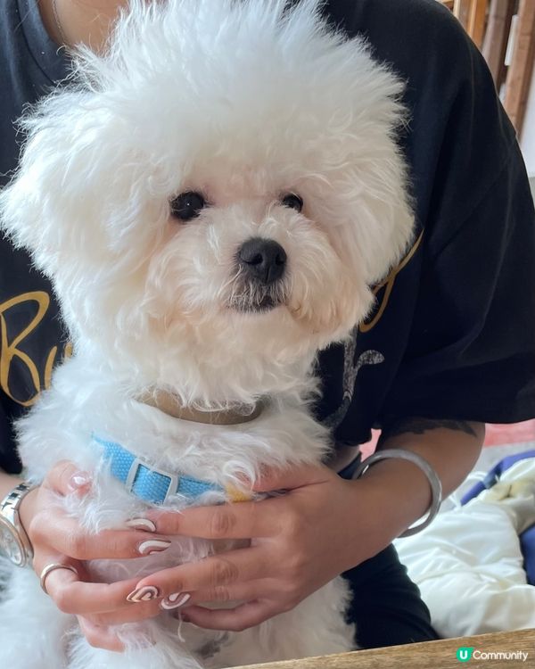 📍九龍城Lazy Creatures📍中意飲啡嘅朋友仔唔好錯...