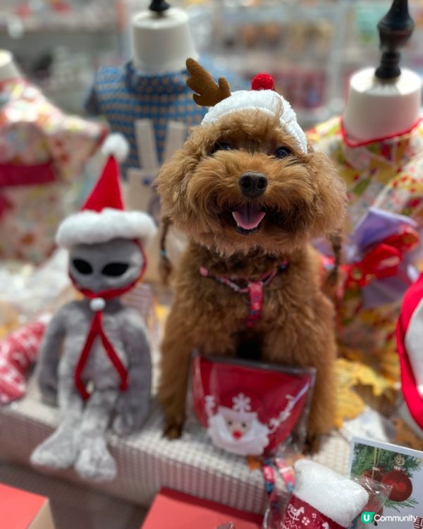 放鬆心情開心笑🤣