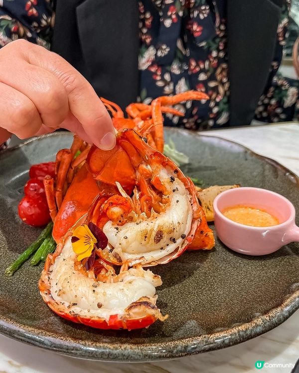 ✤♡ 充滿藝術感的聖誕套餐 • ᴄᴜʀᴀᴛᴏʀ ᴀʀᴛ & ...