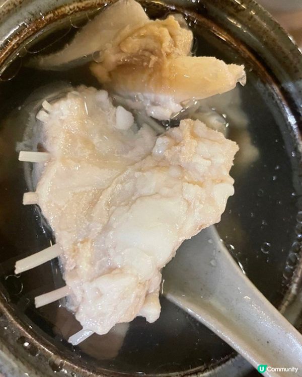 原盅燉川貝陳皮海底椰鱷魚肉湯