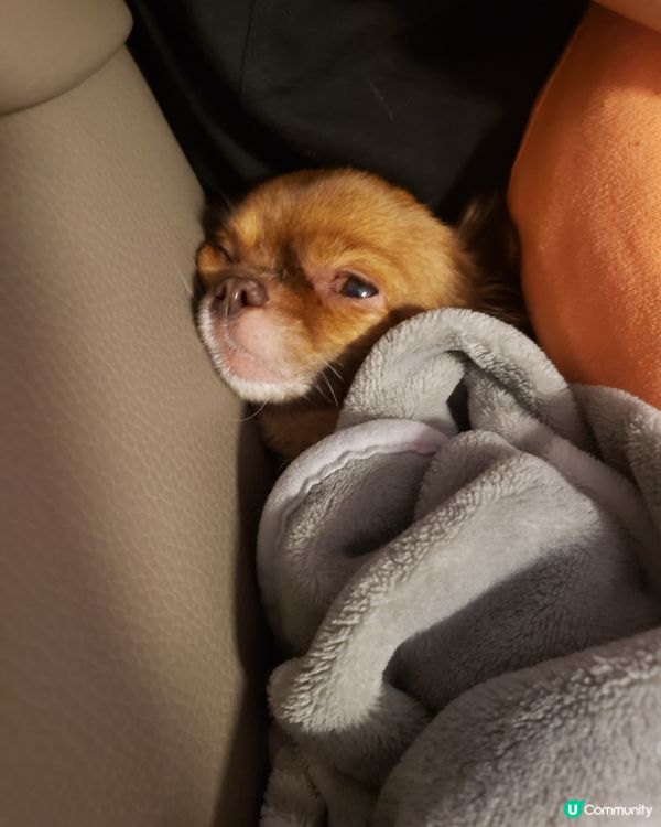 好凍呀，唔好叫我啦。我唔返工喇😆