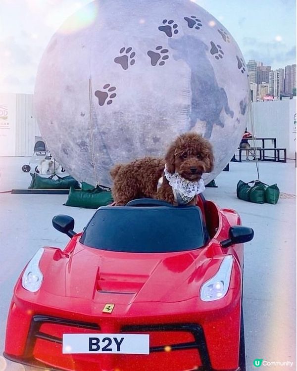 裙腳仔唔肯坐係度😕