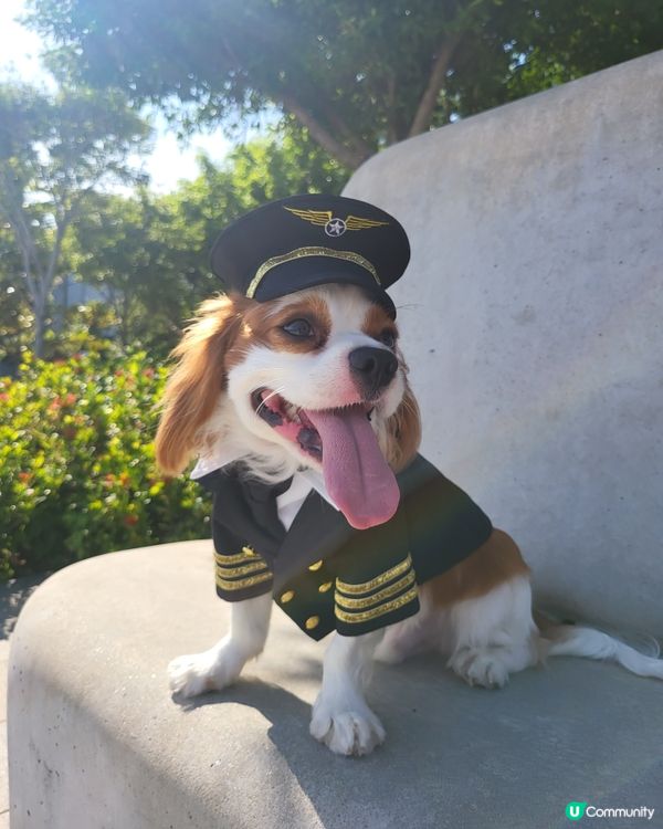 聖誕無得飛都唔緊要🎄