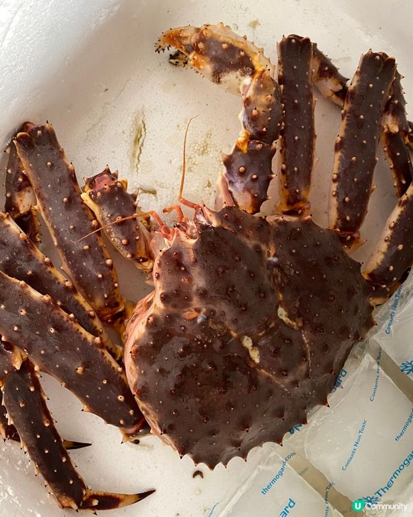 長腳蟹🦀🦀🦀🦀