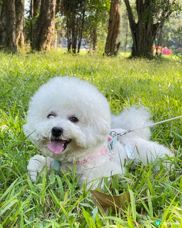 免費入場參觀，免費泊車，各項設施獨立收費