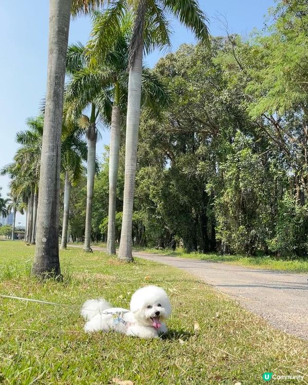 免費入場參觀，免費泊車，各項設施獨立收費