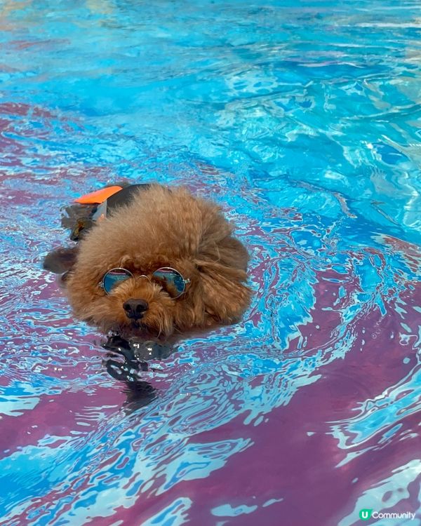 邊個夠我有型！😎