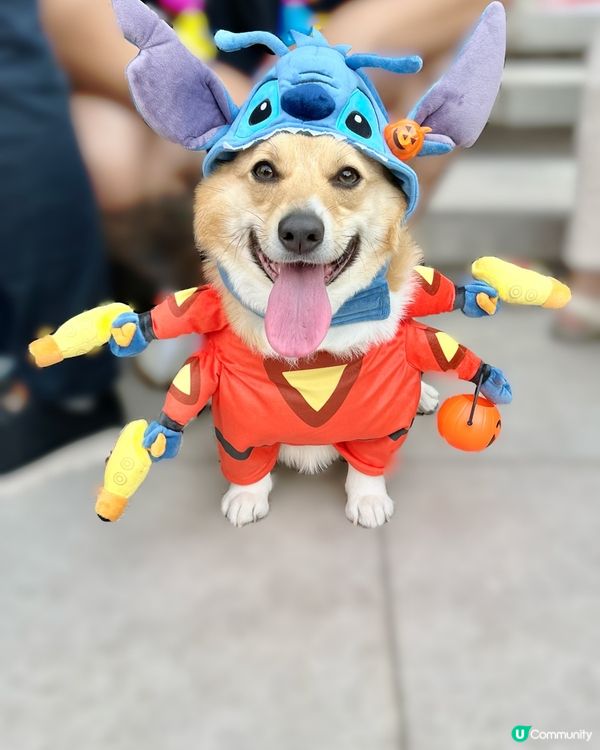 我係0501號太空生物Moji