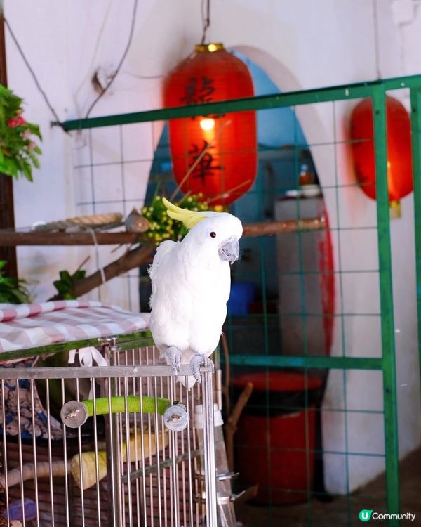 #龍華酒店 食秋冬套餐🥰  嘆地道美食之餘，仲可以打卡😍