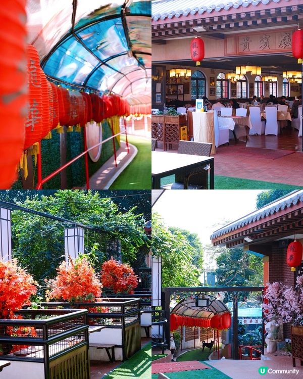 #龍華酒店 食秋冬套餐🥰  嘆地道美食之餘，仲可以打卡😍