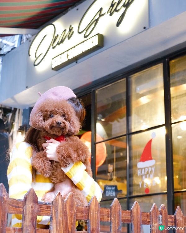 又可以帶啤啤🐶一齊出街食飯🥰 