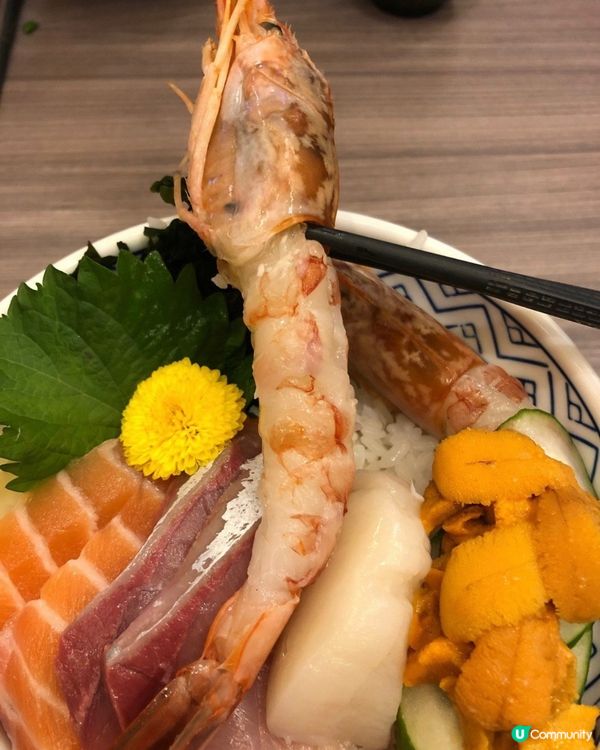 五品丼-三文魚，油甘魚，赤蝦，活帶子，日本海瞻刺身丼飯賣相一...