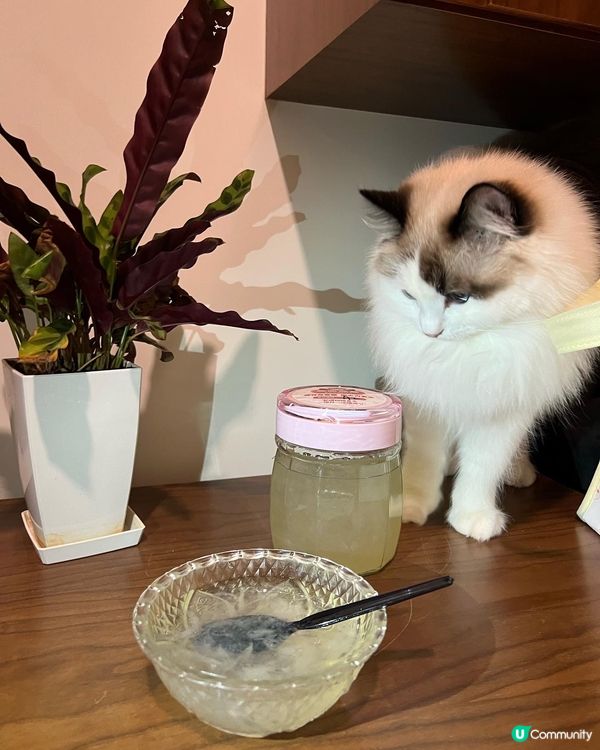 天氣凍，想食返啲滋潤嘅甜品，即刻諗到觀塘嘅每日鮮製甜品燕窩店...