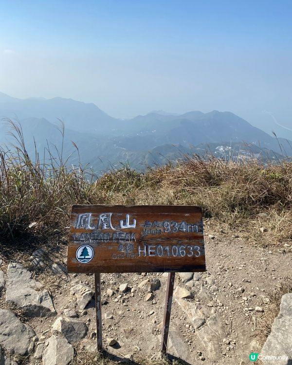 鳳凰山睇芒草