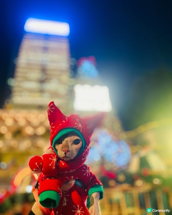 𝙷𝚊𝚙𝚙𝚢 𝙲𝚑𝚛𝚒𝚜𝚝𝚖𝚊𝚜 𝙴𝚟𝚎🎄...