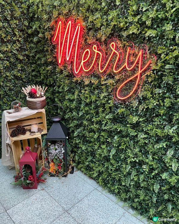 這個聖誕佈置，真的很漂亮，很有聖誕氣氛，就過小叢林，通往美麗...