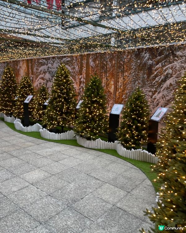 這個聖誕佈置，真的很漂亮，很有聖誕氣氛，就過小叢林，通往美麗...