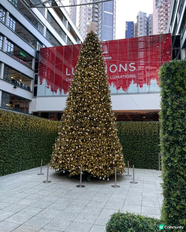 這個聖誕佈置，真的很漂亮，很有聖誕氣氛，就過小叢林，通往美麗...