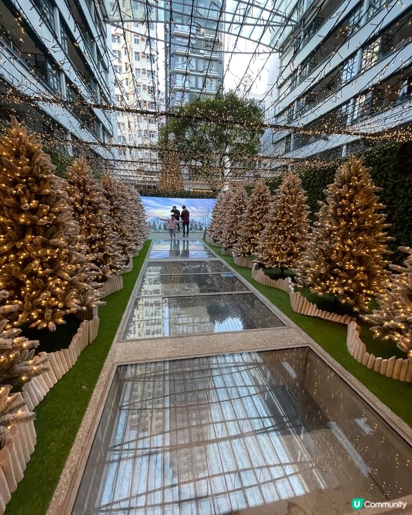 這個聖誕佈置，真的很漂亮，很有聖誕氣氛，就過小叢林，通往美麗...