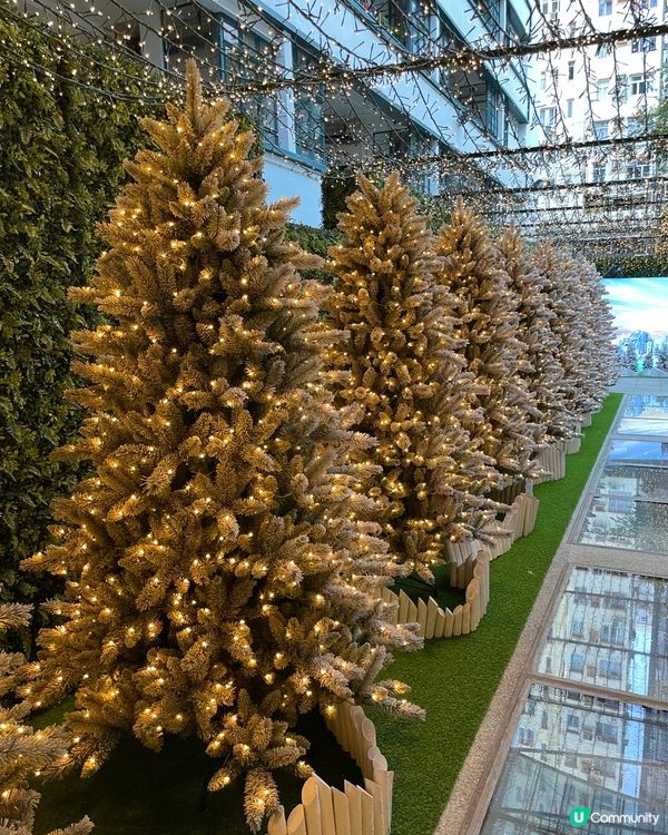 這個聖誕佈置，真的很漂亮，很有聖誕氣氛，就過小叢林，通往美麗...