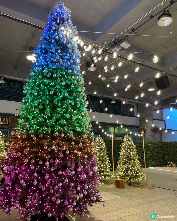 這個聖誕佈置，真的很漂亮，很有聖誕氣氛，就過小叢林，通往美麗...