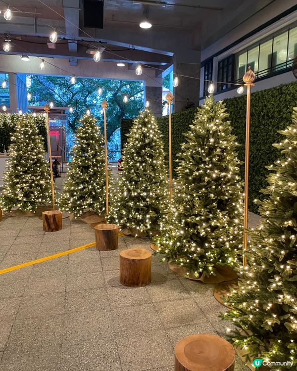 這個聖誕佈置，真的很漂亮，很有聖誕氣氛，就過小叢林，通往美麗...