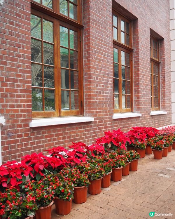 昋港大學既紅磚牆好適合打卡影相，任何角度都容易影出靚靚既相。...