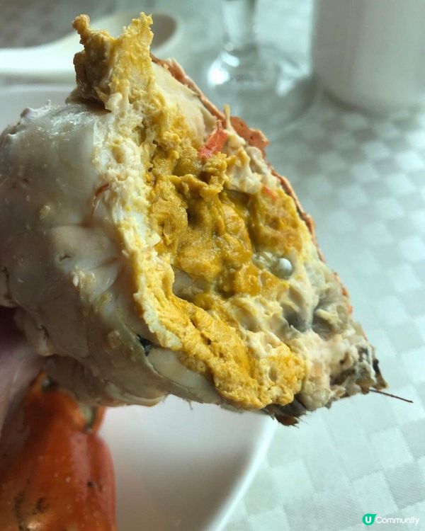 超多蟹膏嘅大肉蟹，一啖咬落去啖啖肉，蟹膏好香好滑，超好食😋😋...