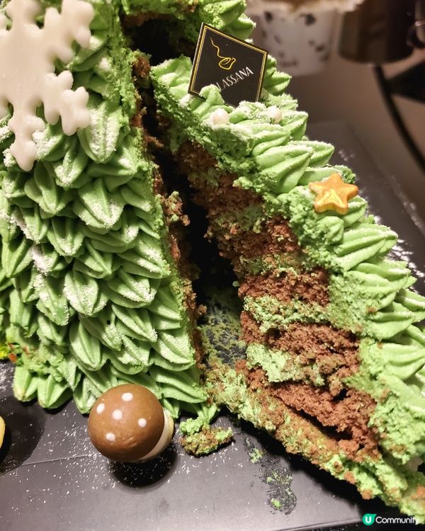 🍵精緻又好味！抹茶聖誕樹蛋糕🎄