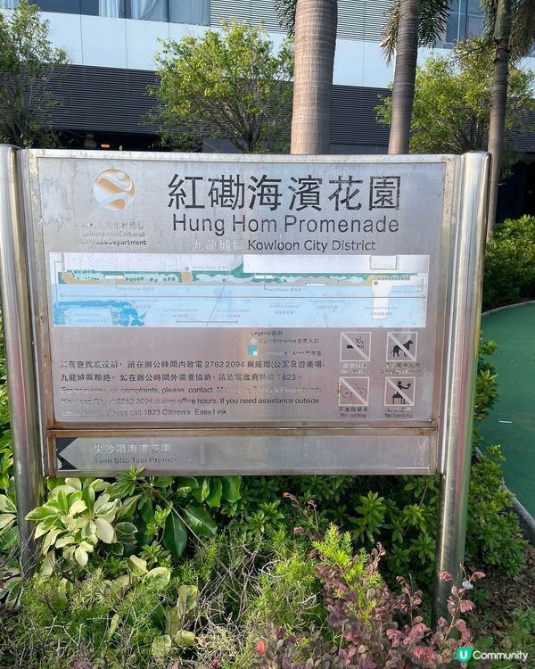 紅磡海濱長廊睇日出好地方