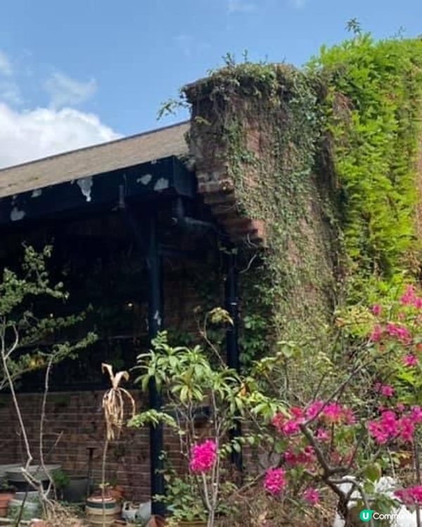 牛棚藝術村非常適合打卡，建築物以紅磚屋為主，再配以綠油油嘅植...