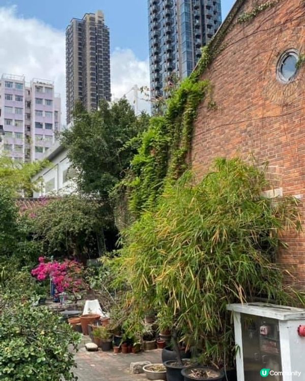 牛棚藝術村非常適合打卡，建築物以紅磚屋為主，再配以綠油油嘅植...