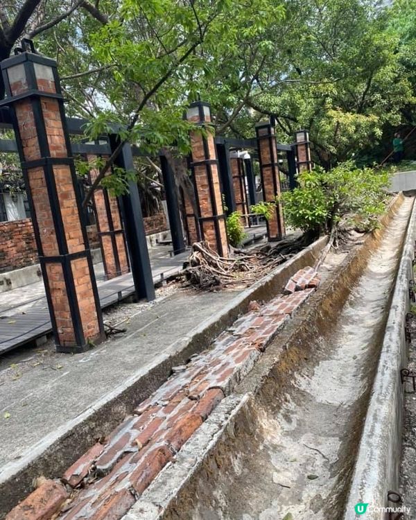 牛棚藝術村非常適合打卡，建築物以紅磚屋為主，再配以綠油油嘅植...